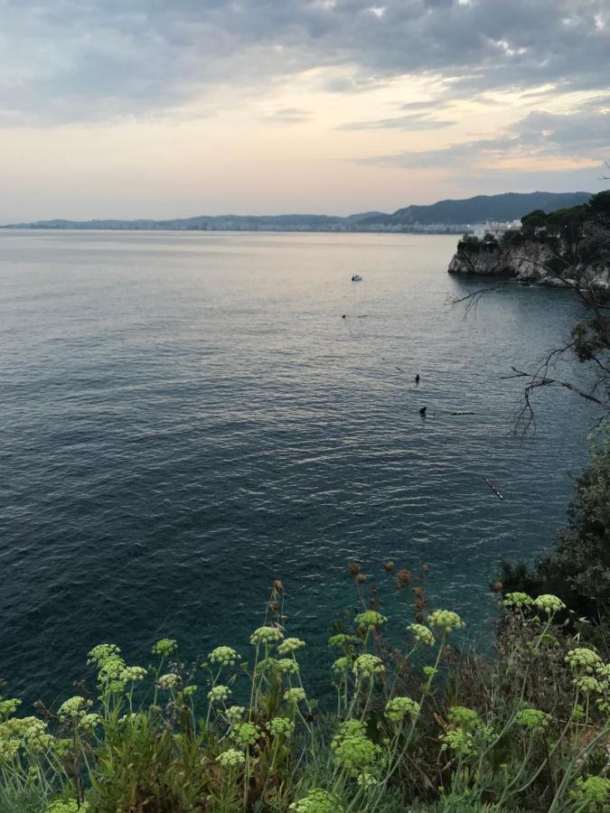 Aldi'S Guest House Vlore Bagian luar foto